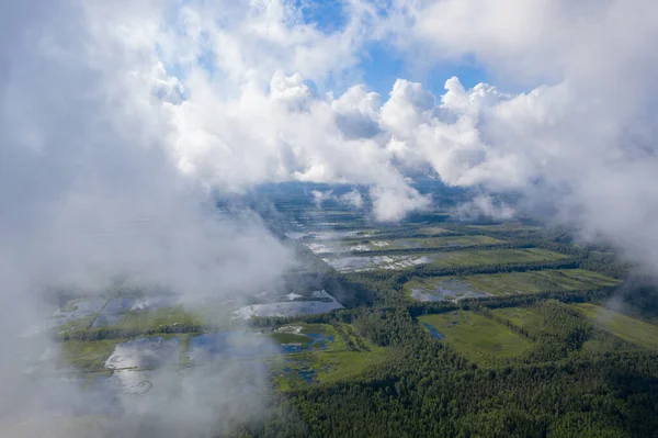 Aerial View Flooded Seda Swamp Sedas Purvs Water Lakes Low — Stock Photo, Image