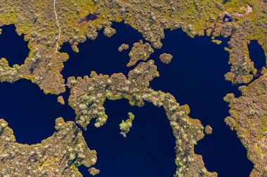 Göl ve havuz desenli turba bataklıkları üzerindeki havadan aşağı manzara.