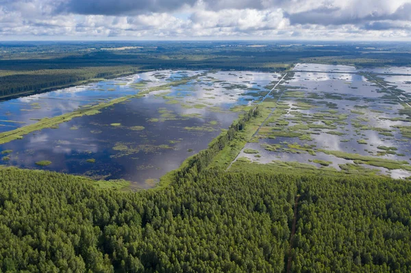 Aerial view of flooded Seda swamp (Sedas purvs) water lakes