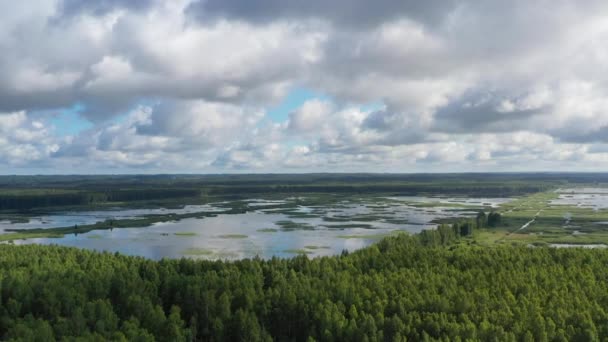 Tiro ascendente revelando inundado pantano Seda (Sedas purvs) lagos y bosques verdes — Vídeo de stock
