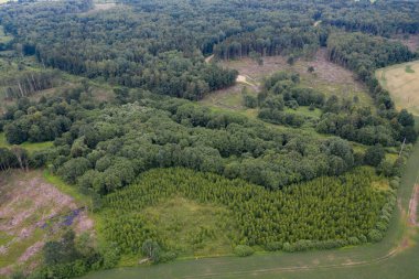 Yeşil tarlalarla çevrili yeşil ormanların havadan görünüşü