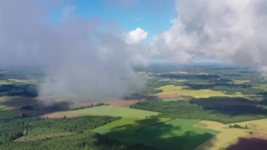Ormanlardaki yeşil tarım alanlarının üzerinden uçan hava görüntüleri.