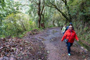 Madeira, Portekiz - 03.22.2025: Ribeiro Frio, Madeira 'da Vereda dos Balcoes Levada Patikası' ndaki yürüyüşçüler