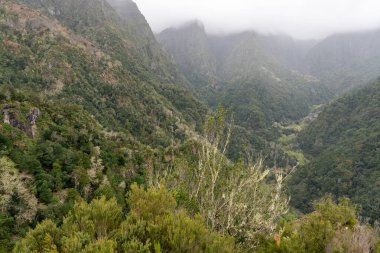 Ribeiro Frio, Madeira, Portekiz 'deki Miradouro dos Balcoes' un yeşil dağlarına bakın.