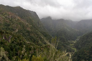 Madeira, Portekiz - 03.22.2025: Ribeiro Frio, Madeira 'da Vereda dos Balcoes Levada Patikası' ndaki yürüyüşçüler
