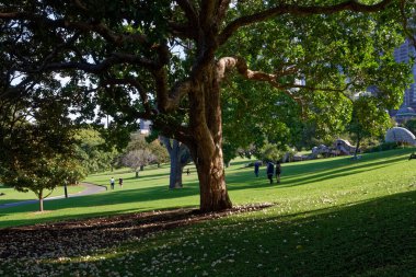 Sydney, NSW, Avustralya-5 Nisan 2016: Sydney Botanik Gareden, 200. kuruluş yıldönümünü kutluyor. 
