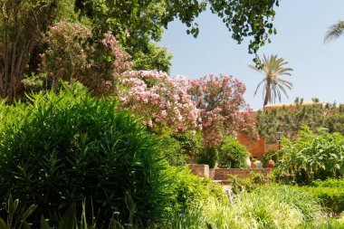 Rabat, Morocoo - 13 / 06 / 2013: Udayas 'ın Kasbah kentindeki Endülüs Bahçeleri.