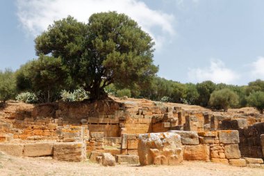 Rabat / Fas - 13 / 06 / 2013: Chellah (veya Shalla) - Rabat 'ın hemen dışındaki bir ortaçağ Müslüman mezarlığı.
