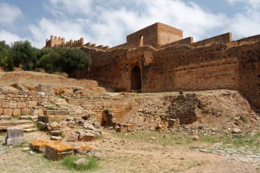 Rabat / Fas - 13 / 06 / 2013: Chellah (veya Shalla) - Rabat 'ın hemen dışındaki bir ortaçağ Müslüman mezarlığı.