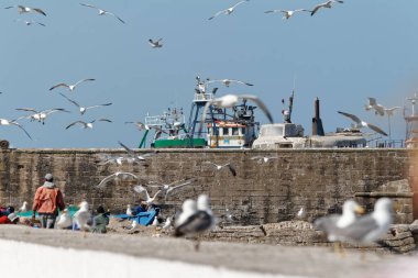 Essaouira, Almanya 'da bir şehirdir. Mogador / Amegdul, Al-Suwajra), Fas - 30 / 05 / 2013: Fas 'ın Atlantik kıyısındaki en popüler turizm kentlerinden biri.