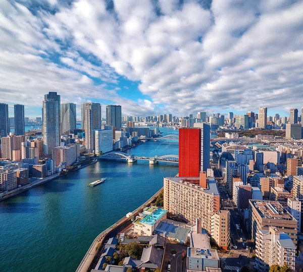 Amplia Vista Panorámica Del Río Sumida Bajo Cielo Nublado Dramático — Foto de Stock