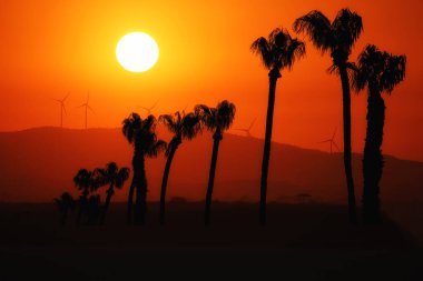 Yazın Kıbrıs Rum Kesimi 'ndeki kuru tuz gölü üzerinde günbatımının arka planında palmiye ağaçlarının siluetleriyle rüzgar jeneratörleri. 