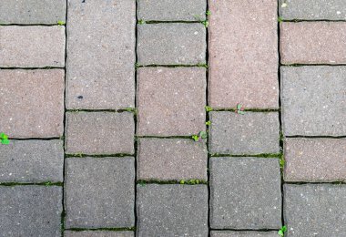 Yeşil çimenli taş döşeme deseni