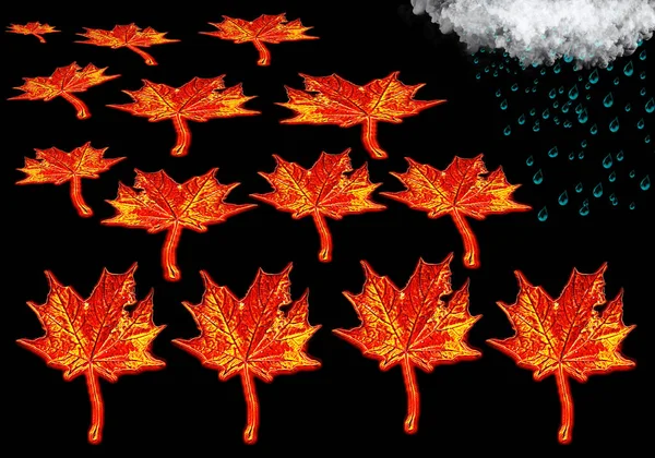 Искусство Осенних Кленовых Листьев Темном Фоне Облаками Дождевыми Каплями — стоковое фото