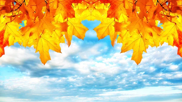 Golden autumn maple leaves on background of dramatic sunset sky