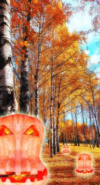 Halloween Oumpkins Jesienne Brzozy Ścieżką Stóp Moskwie Parku Pod Zachmurzonym — Zdjęcie stockowe