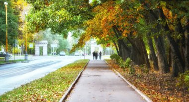 Moskova 'daki ünlü üniversitenin kampüsünde sonbahar ağacı sokağı