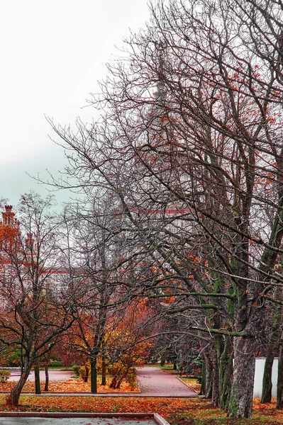 Bare Bomen Steegje Herfst Campus Van Beroemde Universiteit Moskou — Stockfoto