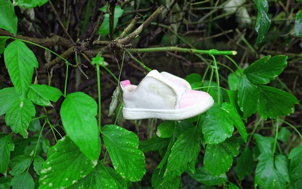 Children boot hanging on wet tree after rain