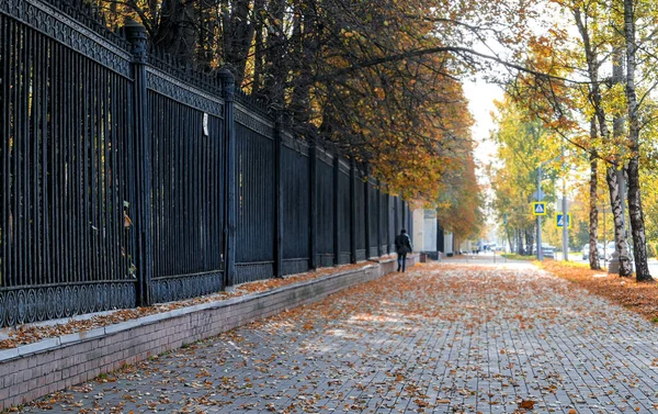 Street and tree alley with golden autumn leaves in Moscow