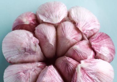 Mavi arka planda sarımsak sürüleri