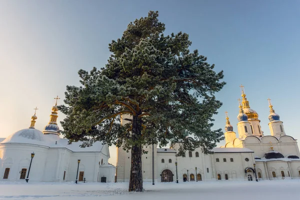 Widok na Kreml Tobolsk w jasny zimowy dzień — Zdjęcie stockowe