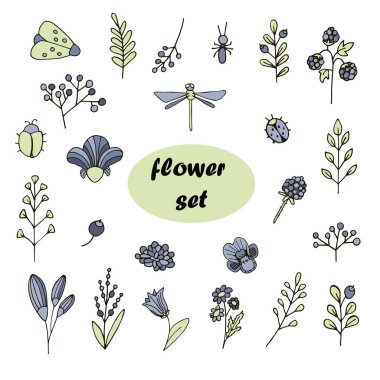 Çiçek elementleri, dallar, böğürtlenler, böcekler, böcekler, karıncalar, uğur böceği, güve, kelebek, çiçekler, menekşe, yusufçuk vektörü elle çizilmiş renk çizimi. Stok çizimi. beyaz izole arkaplan