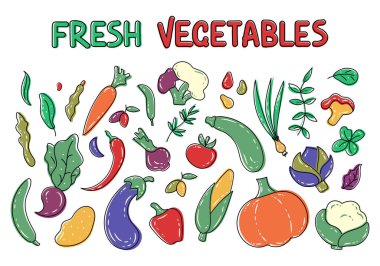 Renkli sebzeler ve bitkiler çizilmiş büyük bir el seti. Mısır, biber, balkabağı, brokoli, patlıcan, havuç, kuşkonmaz, soğan, zeytin, sarımsak. Vejetaryen sağlıklı yiyecekler. Vegan, çiftlik, organik sebzeler.