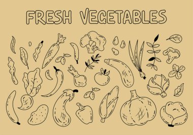 Büyük bir el çizimi sebze ve bitkilerden oluşan siluetler. Mısır, biber, balkabağı, brokoli, patlıcan, havuç, kuşkonmaz, soğan, zeytin, sarımsak. Vejetaryen sağlıklı yiyecekler. Vegan, çiftlik, organik sebzeler