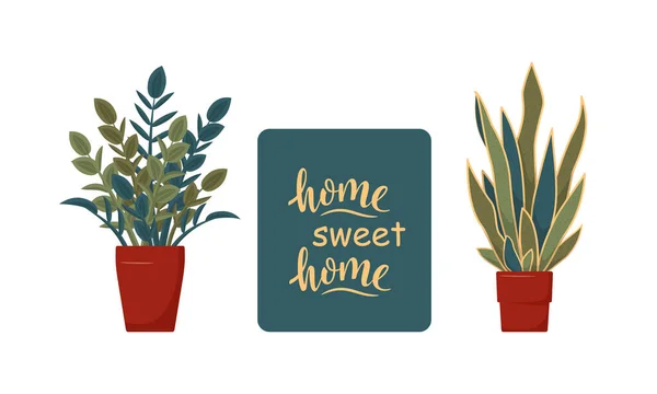 Home Sweet Home Lettering Inscription Potted Plants Interior Plants Trendy — Stock Vector