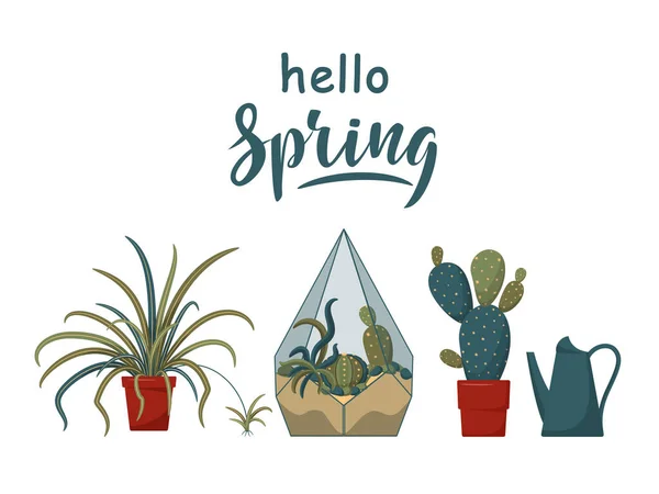 Hello Tavaszi Felirat Vektor Otthoni Növények Díszítő Elemek Belső Cserepes — Stock Vector