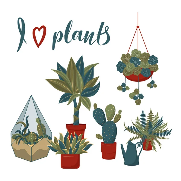 Hou Van Planten Concept Set Van Vector Home Planten Platte — Stockvector