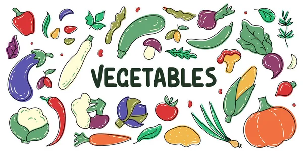 Velká Sada Ručně Kreslené Barevné Zeleniny Bylin Kukuřice Chilli Dýně — Stockový vektor