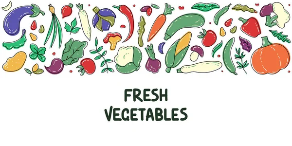Čerstvé Zdravé Zeleniny Horizontální Pozadí Hranice Barevnou Zeleninou Lilek Okurka — Stockový vektor