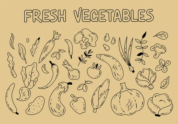 Velká Sada Ručně Kreslených Siluet Zeleniny Bylin Kukuřice Chilli Dýně — Stockový vektor
