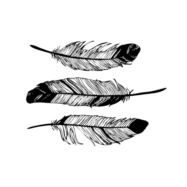 Realistic feathers vector — Stock Vector