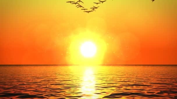 Hejna Hus letících nad oceánem směrem k západu slunce