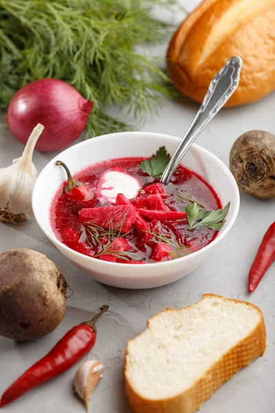 Ucraniano Tradicional Borscht Russo Tigela Com Legumes — Fotografia de Stock