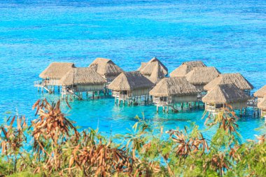 Güzel deniz ve beldesinde Moorea Adası'nda Tahiti Papeete, Fransız Polinezyası