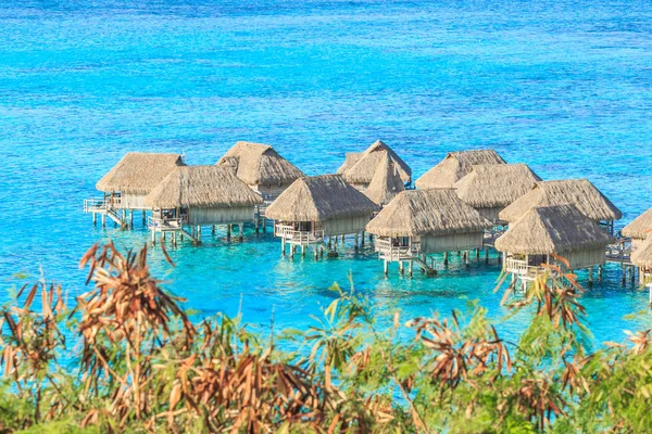 Gyönyörű Tengerre Resort Moorea Sziget Tahiti Papeete Francia Polinézia — Stock Fotó