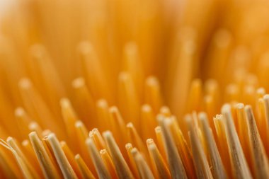 Kürdan arka kapatmak