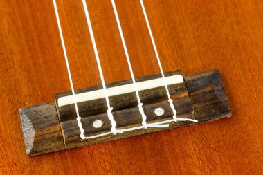 ukulele Hawai gitar parçası kadar kapatın