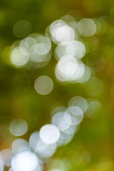 Natürliche Grüne Verschwommene Hintergrund Defokussierte Grüne Abstrakte Hintergrund — Stockfoto