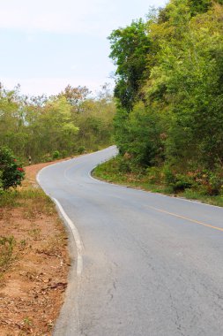Tayland ağaçların arasındaki yol yol eğri