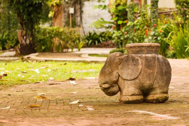 Bir tropik bahçe fil heykeli