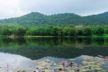Dağ ve göl Sattahip District, Tayland ilinde Chonburi