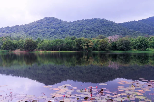 山と湖にタイのチョンブリー県サッタヒープ郡 — ストック写真