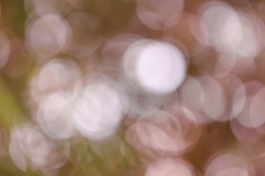 Pembe renk arka plan bulanık