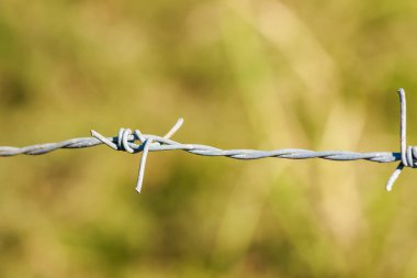 Dikenli tel çit arka plan