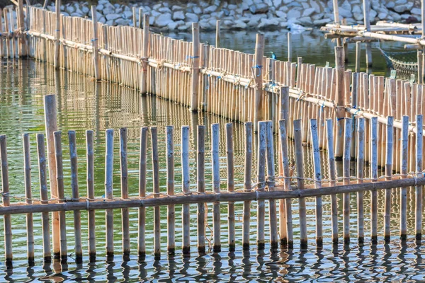 Clôture en bambou près de la mer — Photo